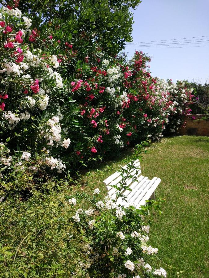 Giardino San Nicola Villa Трабия Екстериор снимка